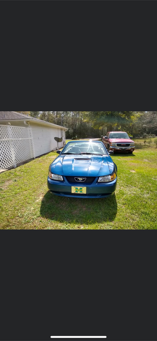 Photo 1999 Ford Mustang 2dr Convertible